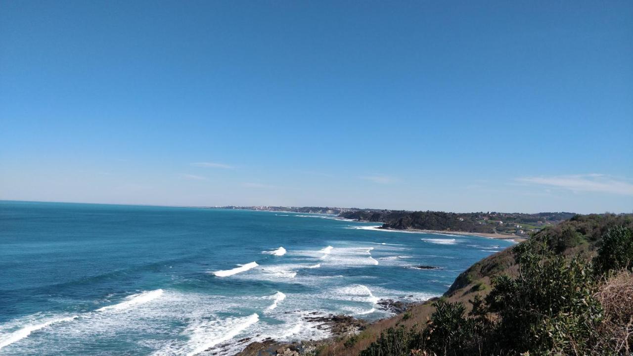 T1 Ou T2 Dans Villa Avec Jardin Proche Biarritz Anglet Esterno foto