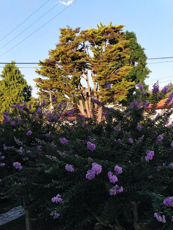 T1 Ou T2 Dans Villa Avec Jardin Proche Biarritz Anglet Esterno foto