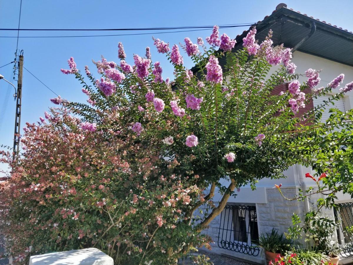 T1 Ou T2 Dans Villa Avec Jardin Proche Biarritz Anglet Esterno foto