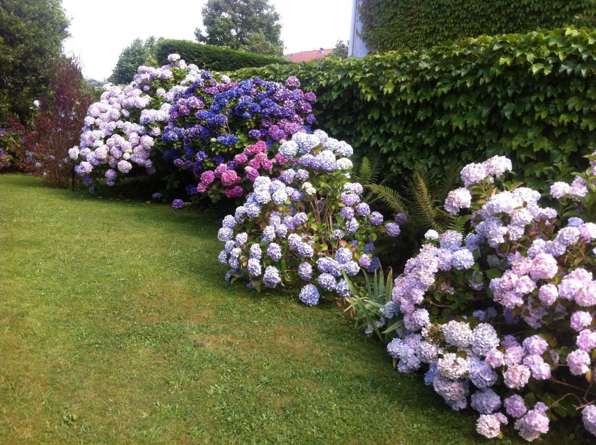 T1 Ou T2 Dans Villa Avec Jardin Proche Biarritz Anglet Esterno foto